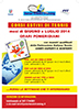 corsi estivi 2014